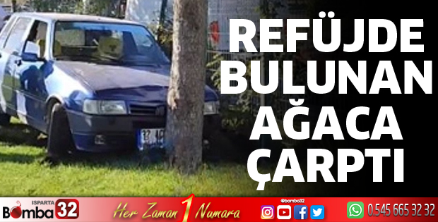 Otomobil refüje çıktı