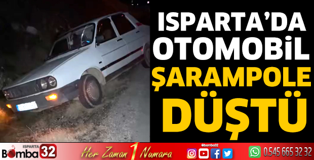 Otomobil şarampole düştü 