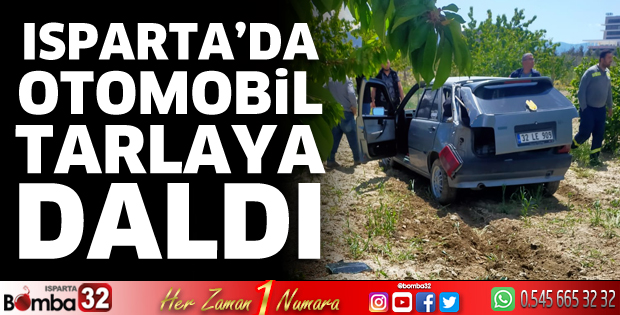 Otomobil tarlaya daldı 