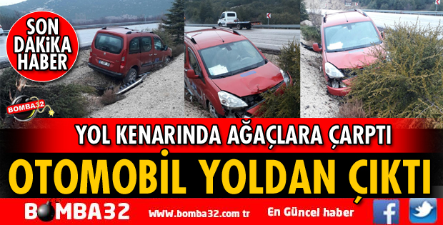 OTOMOBİL YOLDAN ÇIKARAK AĞAÇLARA ÇARPARAK DURABİLDİ