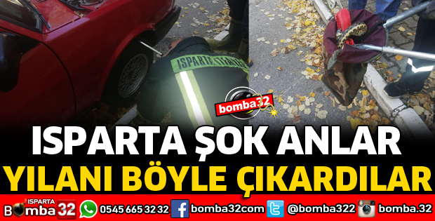 OTOMOBİLDE YILAN KURTARMA OPERASYONU