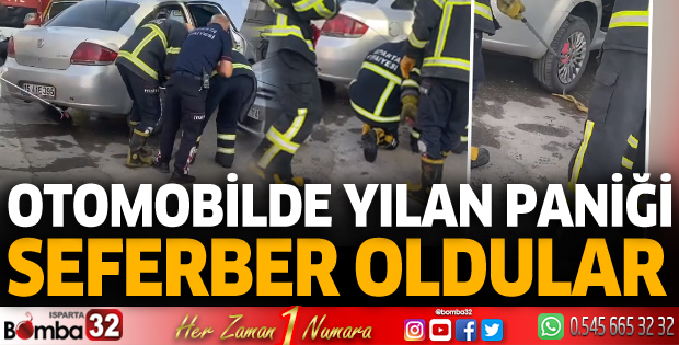 Otomobilde yılan paniği