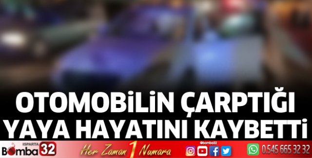 Otomobilin çarptığı yaya hayatını kaybetti