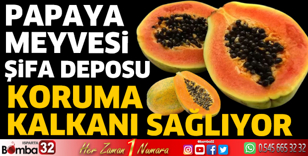 Papaya meyvesi şifa deposu koruma kalkanı sağlıyor 