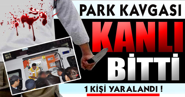 Park etme kavgası kanlı bitti