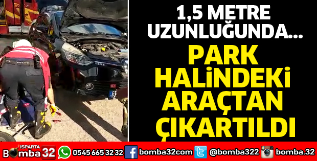 Park halindeki otomobilde yılan paniği