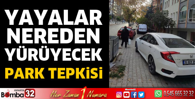 Park tepkisi