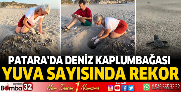 Patara'da deniz kaplumbağası yuva sayısında rekor