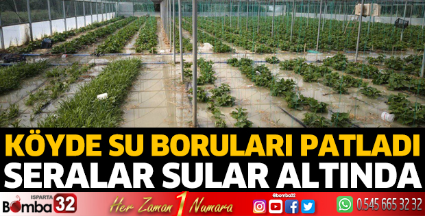 Patlayan su borusu seralara zarar verdi