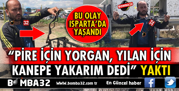 PİRE İÇİN DEĞİL YILAN İÇİN KANEPE YAKTI