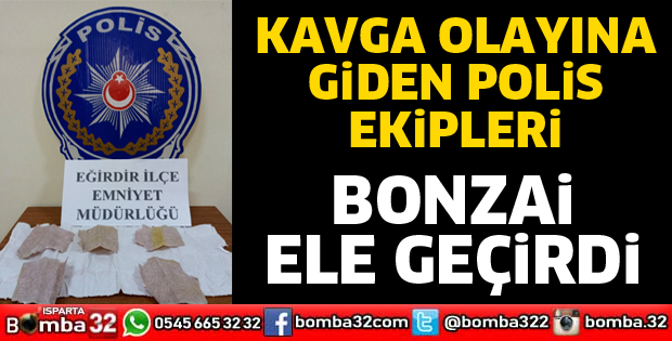 Polisin dikkati sayesinde bonzai ele geçirildi