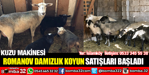 ROMANOV KOYUN SATIŞLARI BAŞLADI