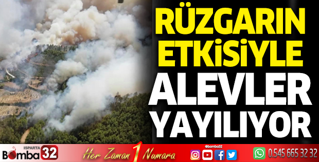 Rüzgarın etkisiyle alevler yayılıyor