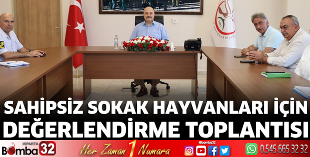 Sahipsiz Sokak Hayvanları için değerlendirme toplantısı