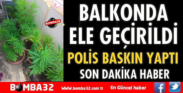 SAKSIDA YETİŞTİRDİĞİ UYUŞTURUCU ELE GEÇİRİLDİ