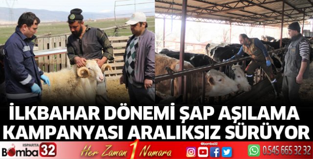 Şap Aşılama Kampanyası Sürüyor