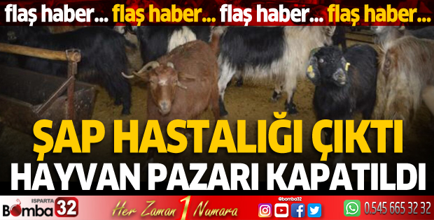 Şap hastalığı çıktı! Hayvan pazarı kapatıldı