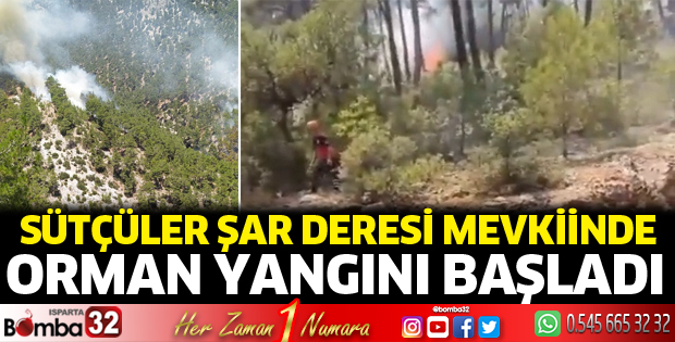 Şar Deresi bölgesinde yangın 
