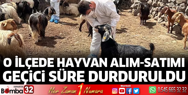 Şarkikaraağaç’ta hayvan alım-satımı geçici süre durduruldu