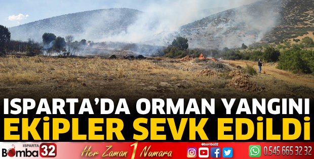 Şarkikaraağaç'ta orman yangını