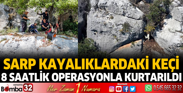 Sarp kayalıklardaki keçi 8 saatlik operasyonla kurtarıldı