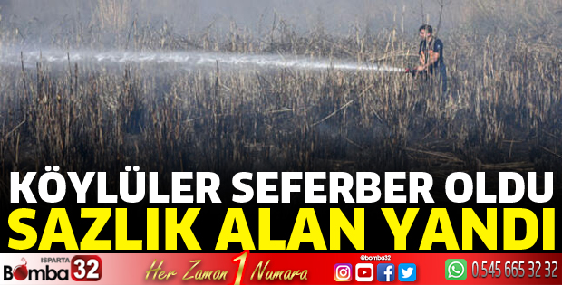 Sazlık alan yandı