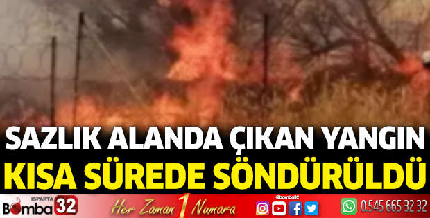 Sazlık alanda yangın çıktı 