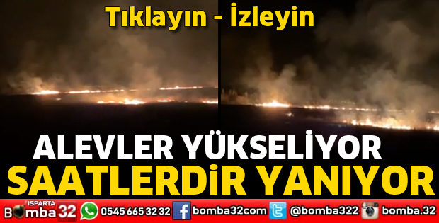 SAZLIK YANGINI