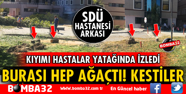 SDÜ HASTANESİNİN ARKA BAHÇESİNDEKİ AĞAÇLARIN KESİLMESİNE TEPKİ