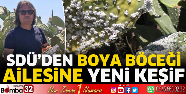 SDÜ’den “Boya Böceği Ailesine” yeni keşif