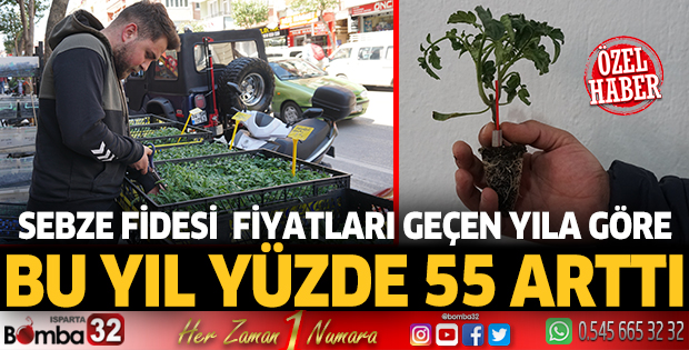 Sebze fidesi  fiyatları geçen yıla göre, bu yıl yüzde 55 arttı