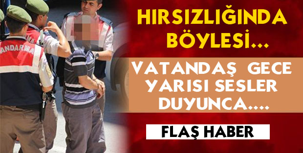 ŞEFTALİ HIRSIZLARINA SUÇÜSTÜ