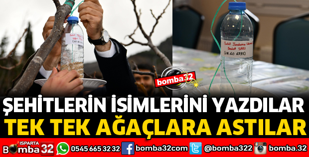 ŞEHİTLERİN İSİMLERİNİ YAZIP TEK TEK AĞAÇLARI ASTILAR