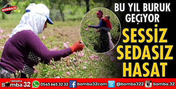 SESSİZ SEDASIZ HASAT