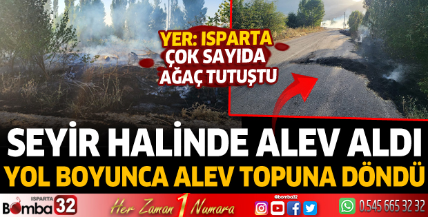 Seyir halinde alev aldı, yol kenarındaki ağaçlar tutuştu