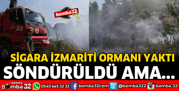 SİGARA İZMARİTİ ORMANI YAKTI