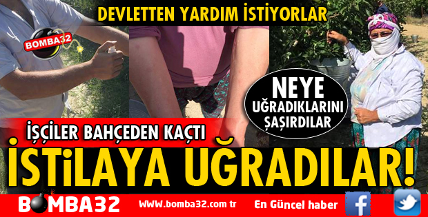 SİVRİSİNEK İSTİLASINA UĞRADILAR