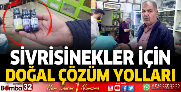 Sivrisineklere karşı doğal çözüm