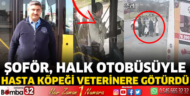 Şoför, halk otobüsüyle hasta köpeği veterinere götürdü