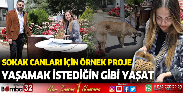 Sokak canları için örnek proje: Yaşamak istediğin gibi yaşat 