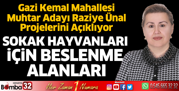 Sokak hayvanları için beslenme alanları