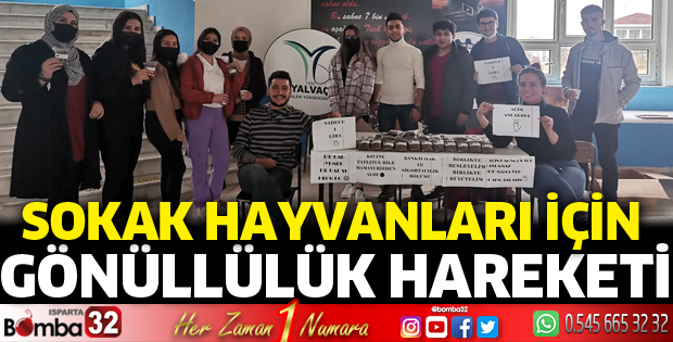 Sokak hayvanları için gönüllülük hareketi başlattılar