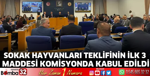 Sokak hayvanları teklifinin ilk 3 maddesi komisyonda kabul edildi