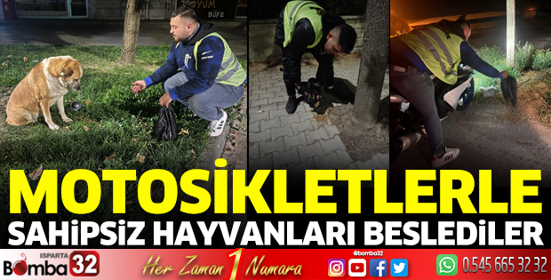 Sokak hayvanlarını beslediler