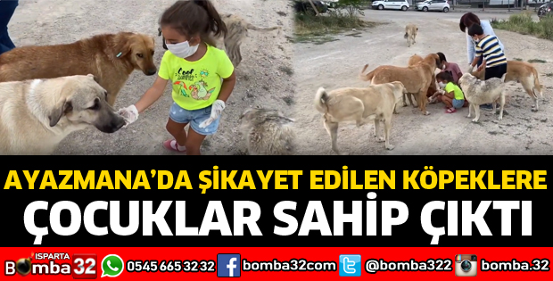 SOKAK HAYVANLARINI ELLERİYLE BESLEDİLER