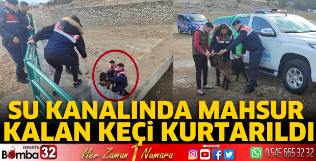 Su kanalında mahsur kalan keçi kurtarıldı