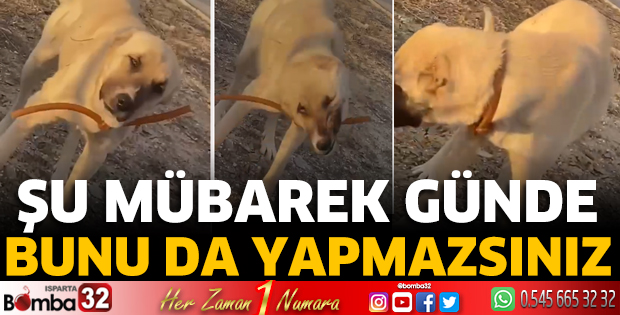 Şu mübarek günde bunu da yapmazsınız 