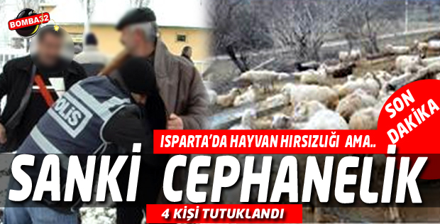 Suçlulara Geçit Yok!