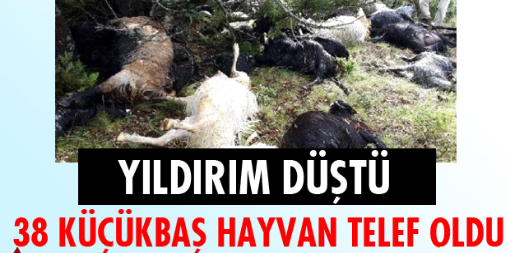 Sürüye Yıldırım Düştü, 38 Keçi Telef Oldu