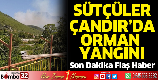 Sütçüler Çandır'da orman yangını